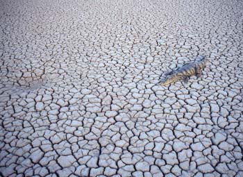 National Geographic Wallpapers 001